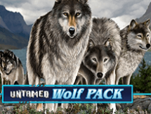 Untamed Wolf Pack